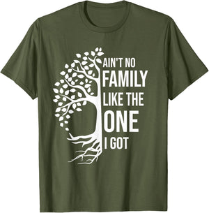 Ain't No Family Like The One I Got Funny Family Reunion 2025