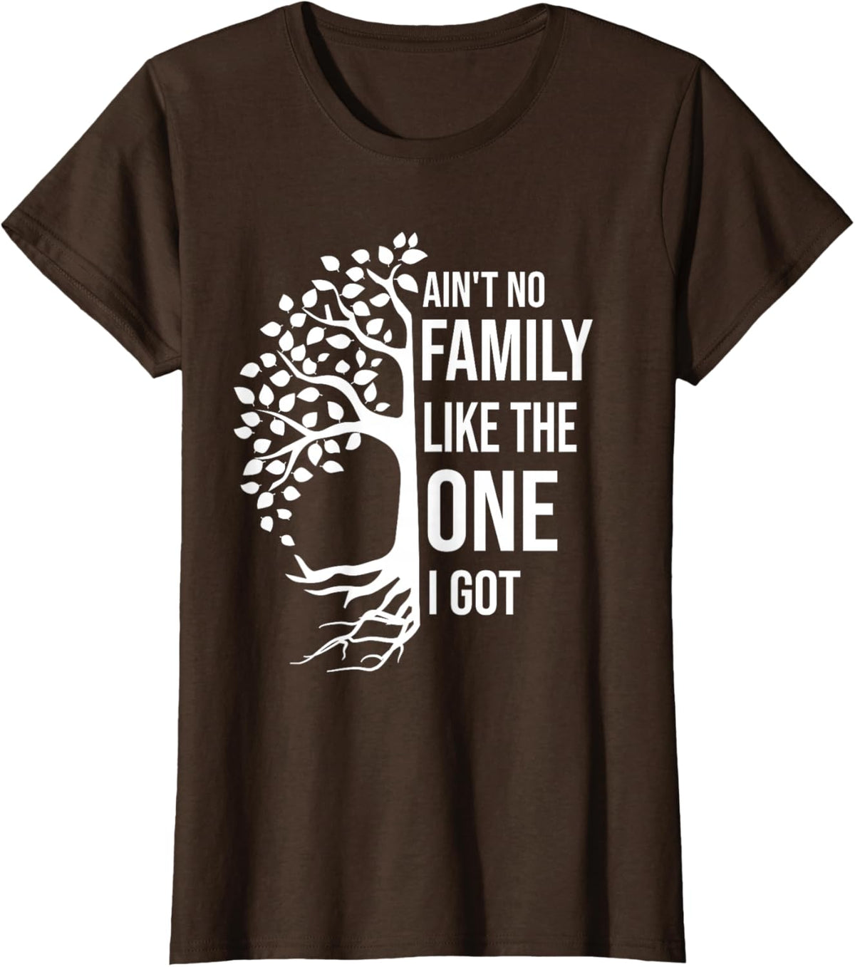 Ain't No Family Like The One I Got Funny Family Reunion 2025