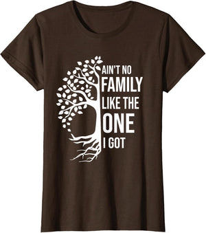 Ain't No Family Like The One I Got Funny Family Reunion 2025