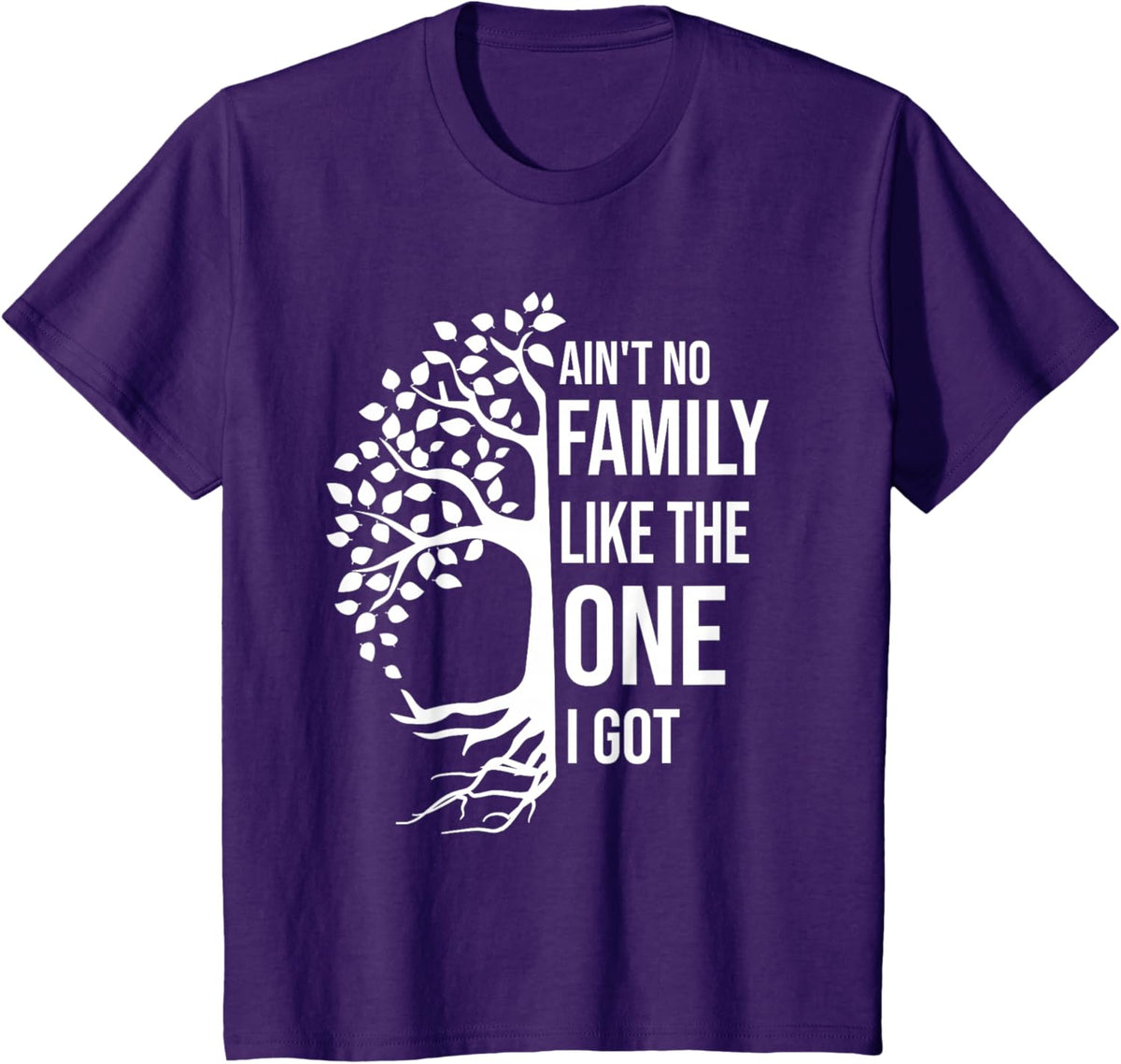 Ain't No Family Like The One I Got Funny Family Reunion 2025