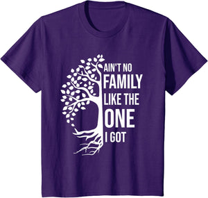 Ain't No Family Like The One I Got Funny Family Reunion 2025