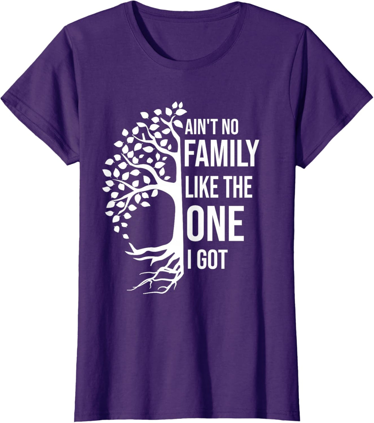Ain't No Family Like The One I Got Funny Family Reunion 2025