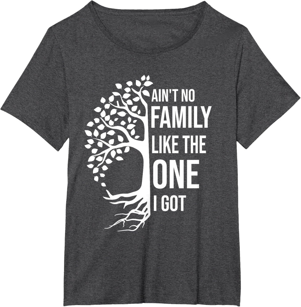 Ain't No Family Like The One I Got Funny Family Reunion 2025