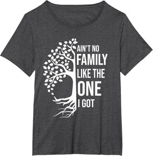 Ain't No Family Like The One I Got Funny Family Reunion 2025