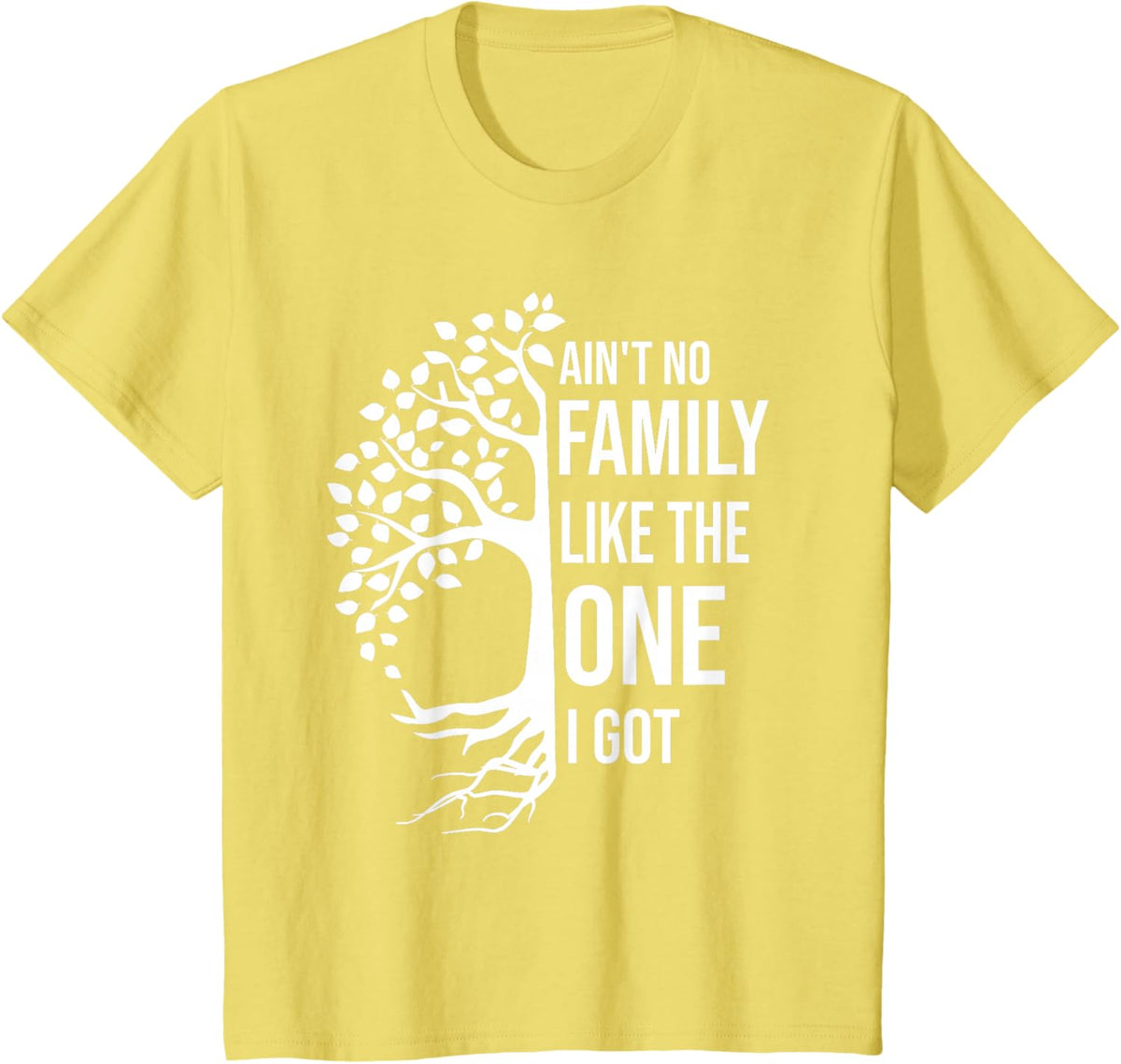 Ain't No Family Like The One I Got Funny Family Reunion 2025