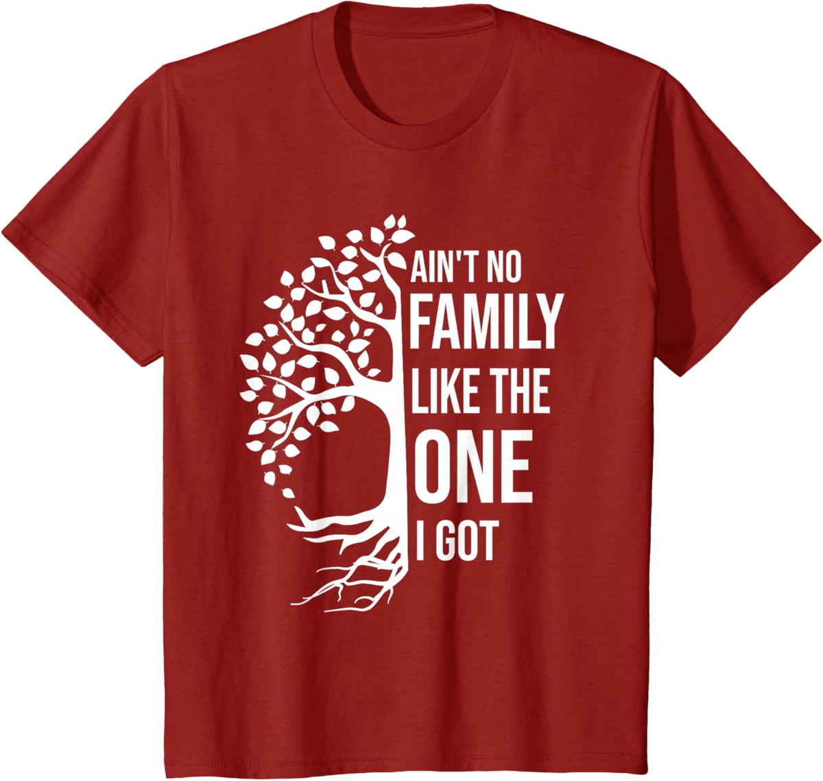 Ain't No Family Like The One I Got Funny Family Reunion 2025