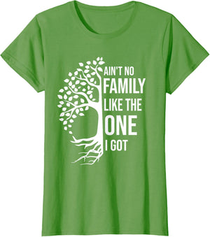 Ain't No Family Like The One I Got Funny Family Reunion 2025