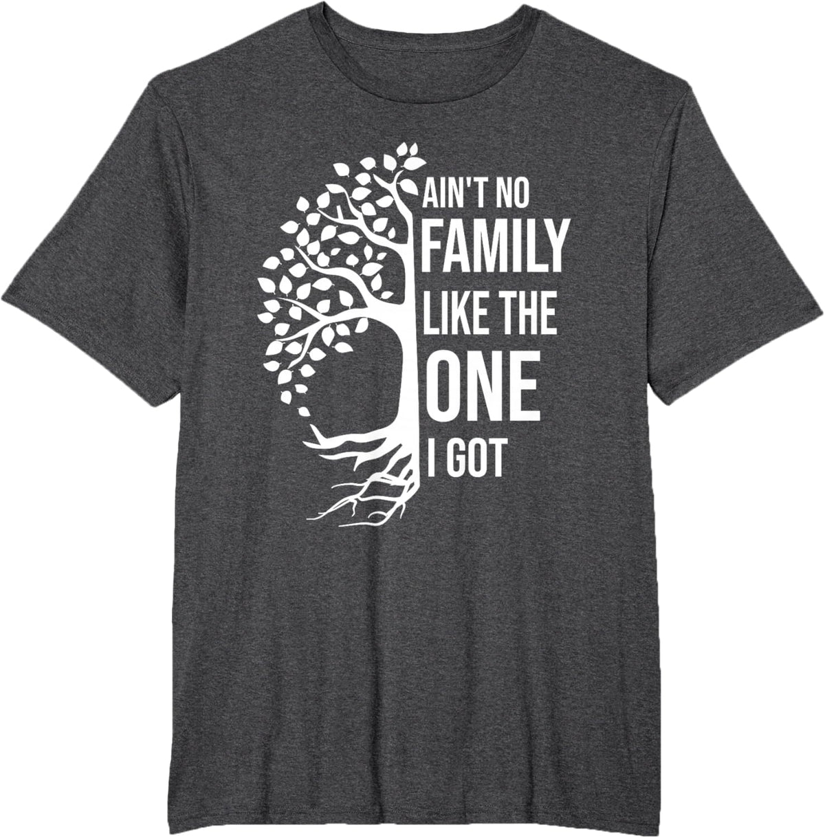 Ain't No Family Like The One I Got Funny Family Reunion 2025