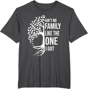 Ain't No Family Like The One I Got Funny Family Reunion 2025