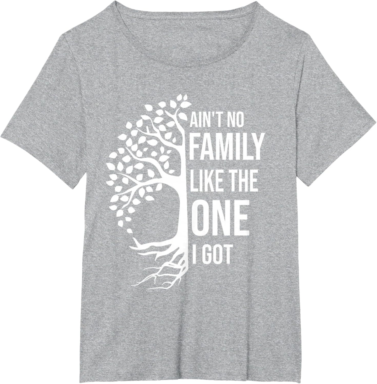 Ain't No Family Like The One I Got Funny Family Reunion 2025