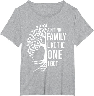 Ain't No Family Like The One I Got Funny Family Reunion 2025