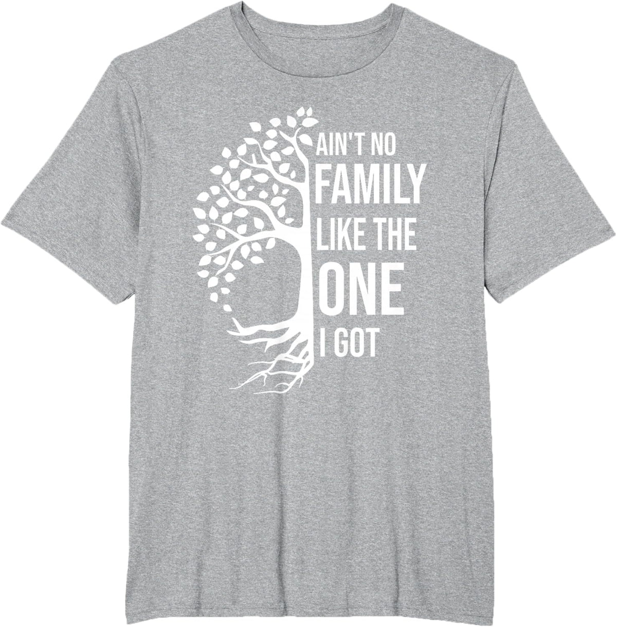 Ain't No Family Like The One I Got Funny Family Reunion 2025