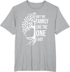 Ain't No Family Like The One I Got Funny Family Reunion 2025