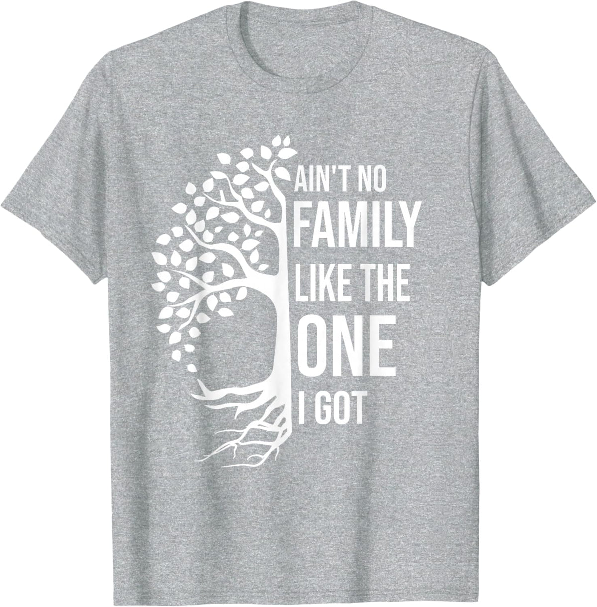 Ain't No Family Like The One I Got Funny Family Reunion 2025