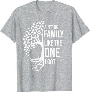 Ain't No Family Like The One I Got Funny Family Reunion 2025