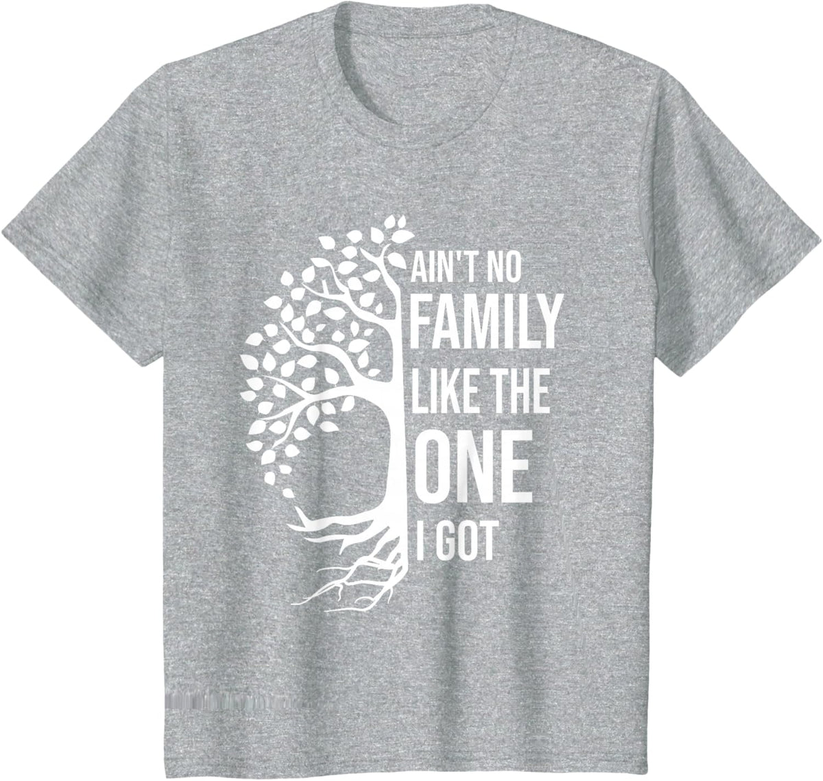 Ain't No Family Like The One I Got Funny Family Reunion 2025