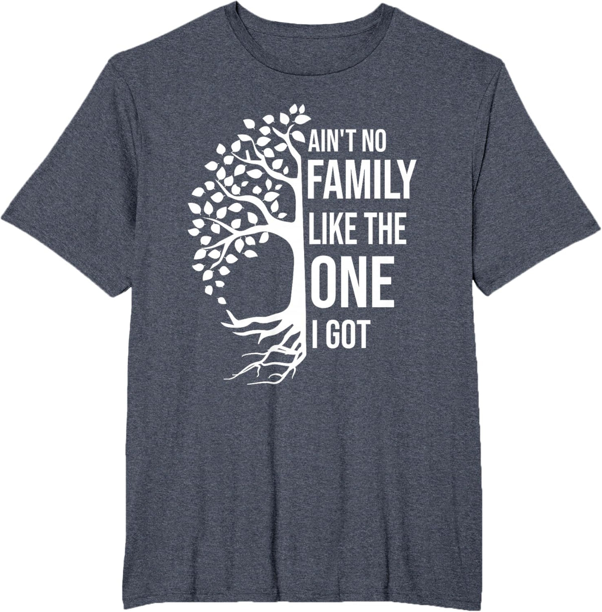 Ain't No Family Like The One I Got Funny Family Reunion 2025