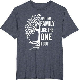 Ain't No Family Like The One I Got Funny Family Reunion 2025